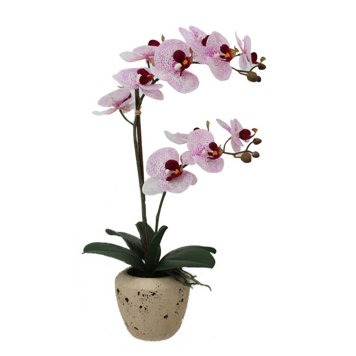 Mikasa 22in Pink Watercolor Artificial Orchid in Speckled Ro for wholesale by Mikasa Home Accents