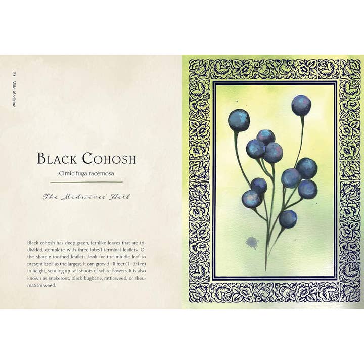 Blue Star Press - Wholesale Nature & Outdoors Book - Wild Medicine: Illustrated Guide to the Magick of Herbs2