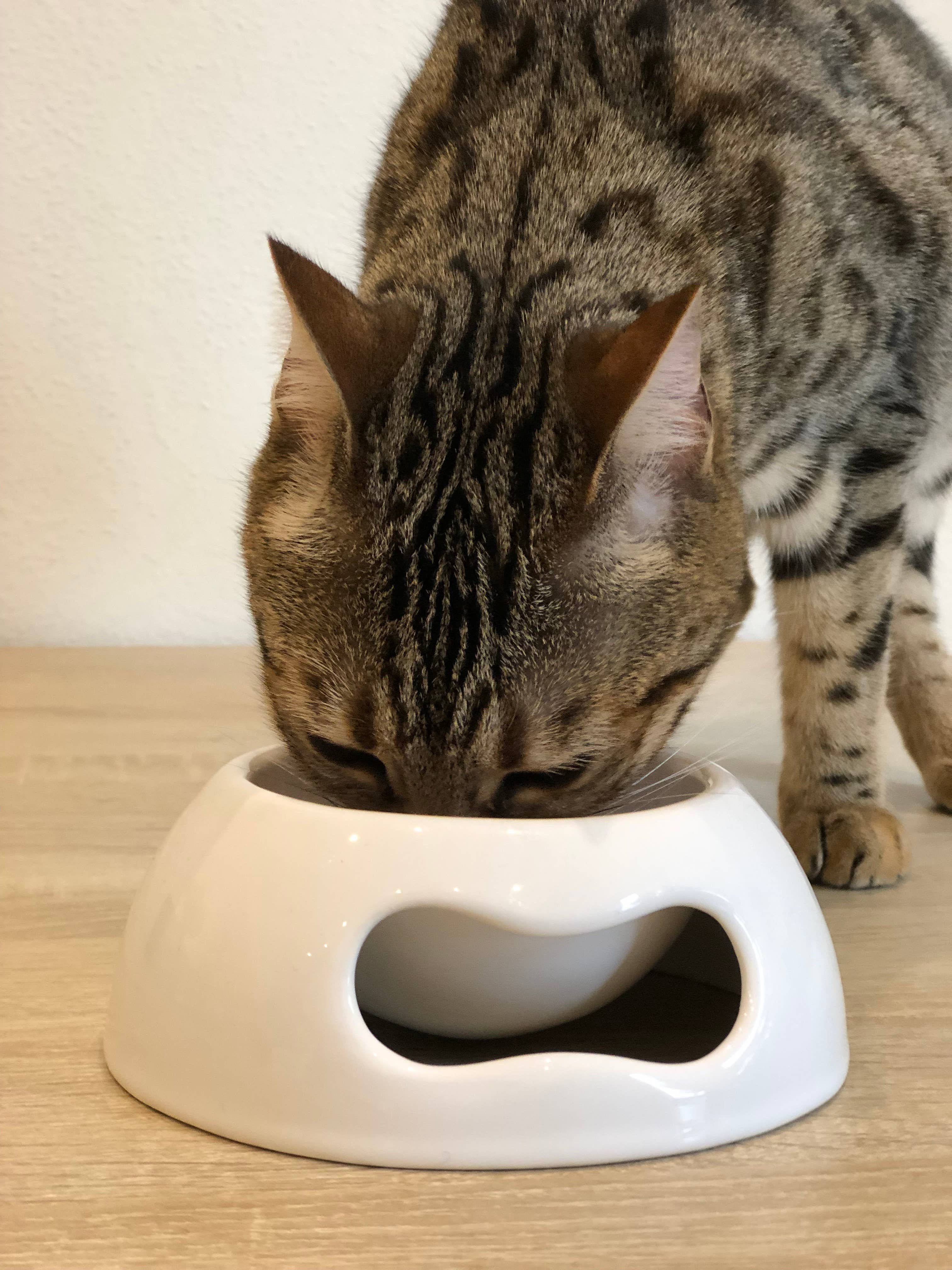 United Pets - Wholesale Pet Bowl - Cat/Dog - Extra small ceramic bowl for cats and dogs6