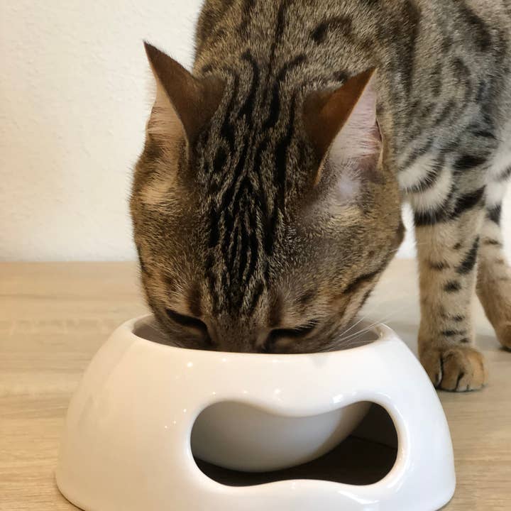 United Pets - Wholesale Pet Bowl - Cat/Dog - Extra small ceramic bowl for cats and dogs6