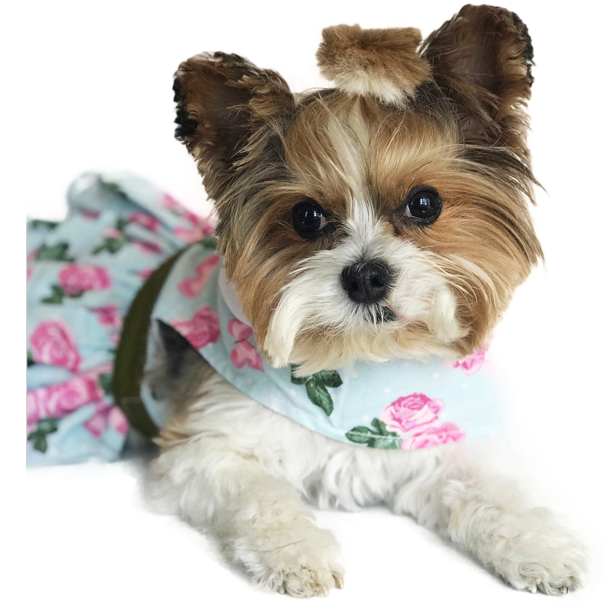 Doggie Design - Wholesale Pet Dress - Dog - Pink Rose Dog Harness Dress w/ Matching Leash3