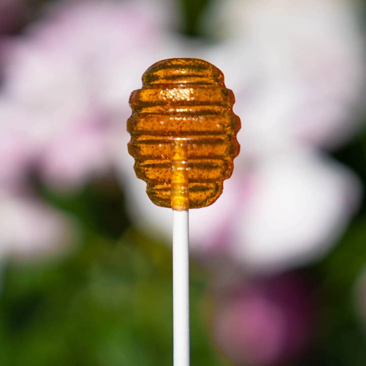 Sparko Sweets - Wholesale Lollipop - Honey Dipper Lollipops - 1.5"
