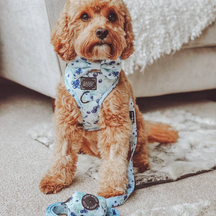 SASSY WOOF - Wholesale Pet Harness - Dog - Dog Adjustable Harness - Berry Sassy (Fruits)11