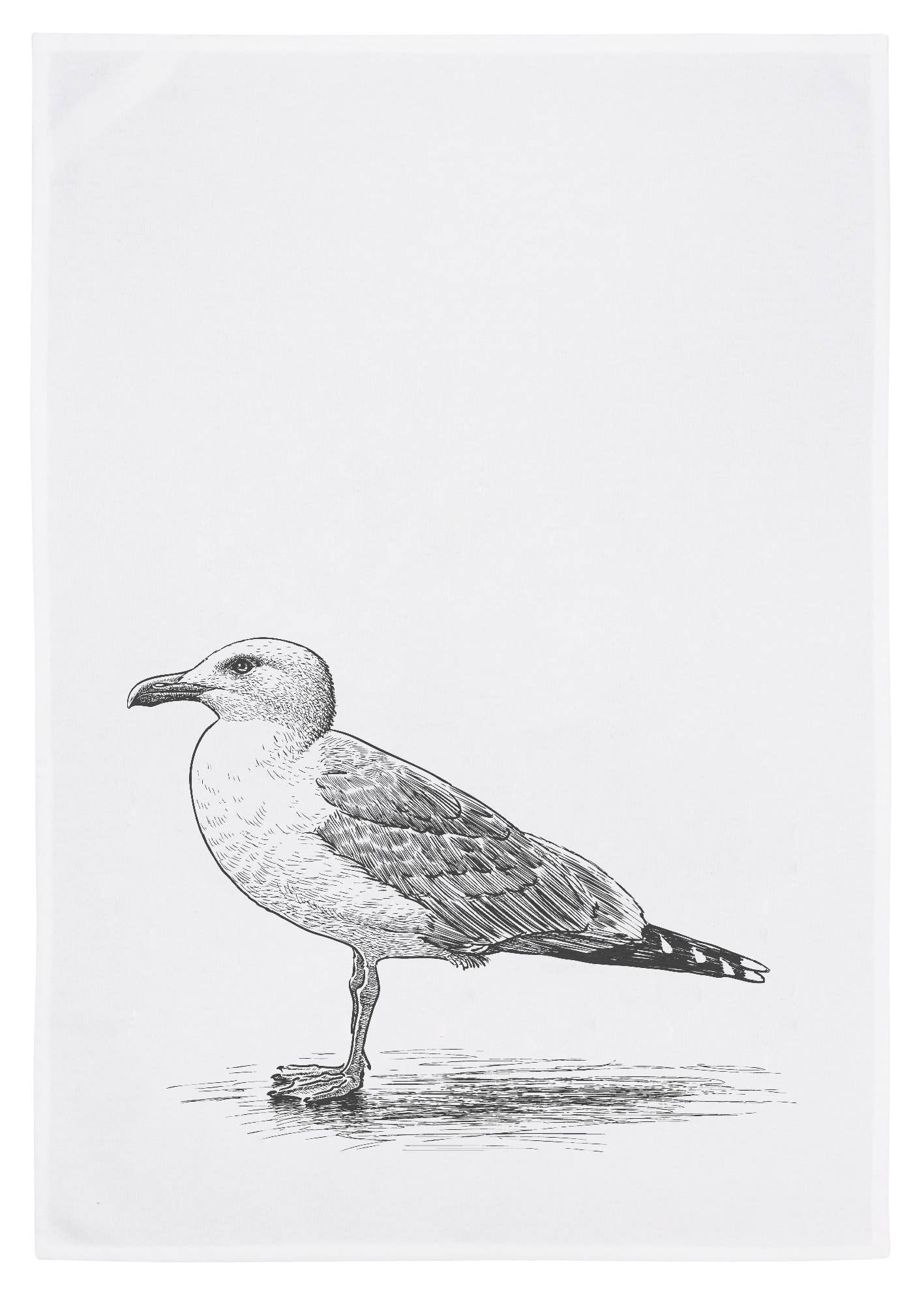 17;30 - Wholesale Tea Towel - White tea towel, seagull in dark grey0