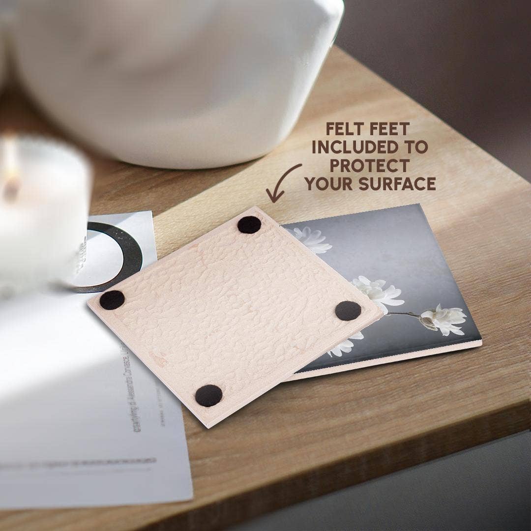 3dRose - Wholesale Coasters - 3dRose, USA, WA, Seabeck. White magnolia flowers and branches. , Coaster3