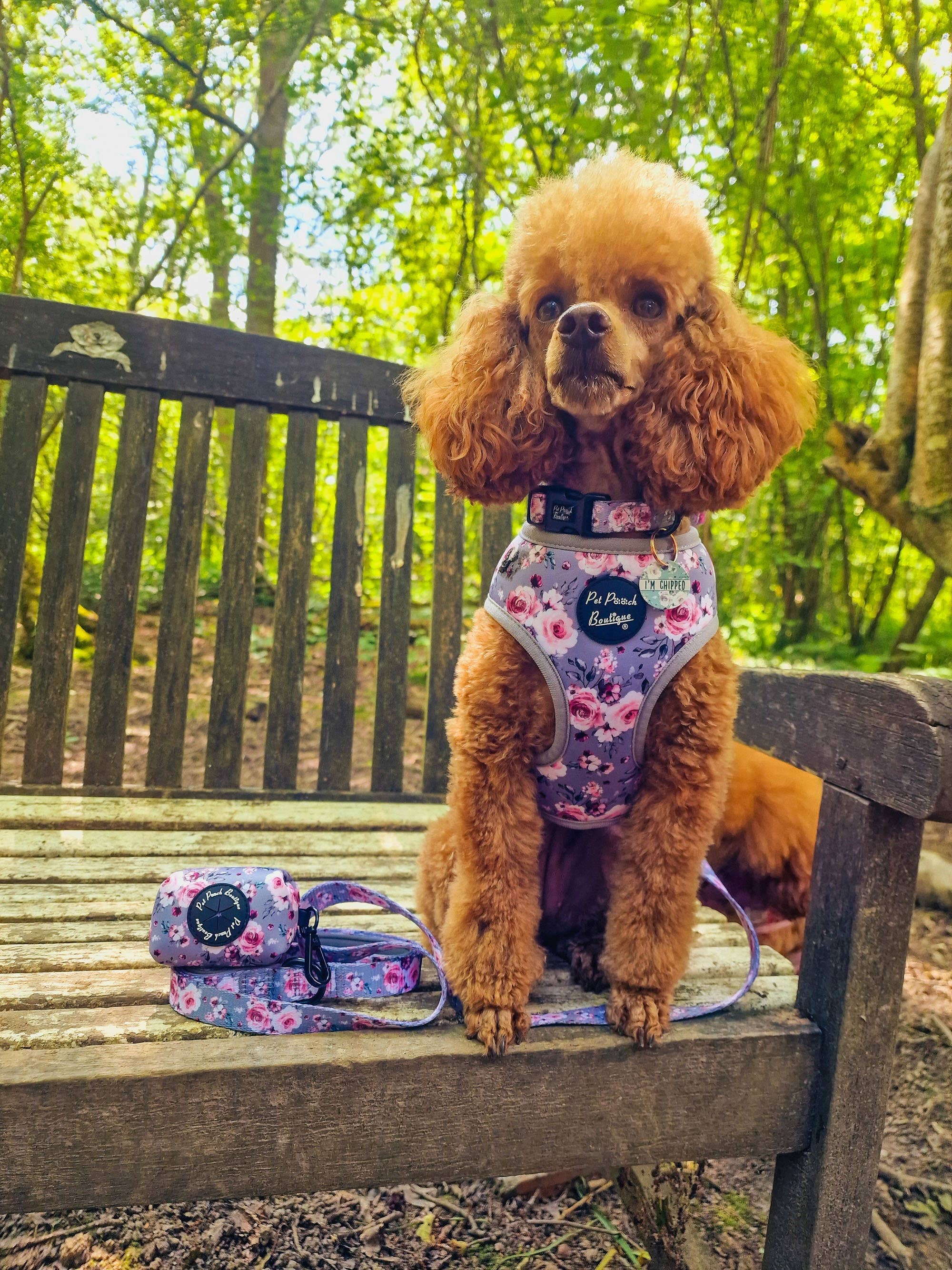 Pet Pooch Boutique - Wholesale Halsband - Hond - Secret Garden hondenhalsband/optioneel bloemenaccessoire - Bruiloft2