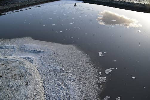 Artisans du sel – Großhandel Salz-Pfeffer-Mischung – Fleur de Sel de Guérande & Schwarzer Pfeffer 100g Bio4