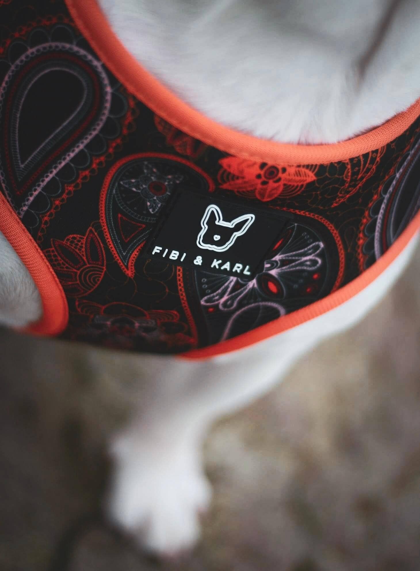 Fibi & Karl – Arnês – Cão por atacado – Arnês para cães 2 em 1 Infinity D2