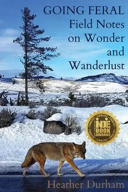 Books by splitShops - Wholesale Nature & Outdoors - Going Feral: Field Notes on Wonder and Wanderlust - Paperback0