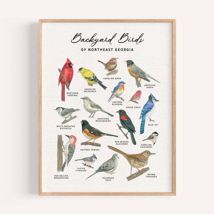 Stampa d'Arte ad Acquerello degli Uccelli del Giardino della Georgia per la vendita all'ingrosso da parte di Studio Miller