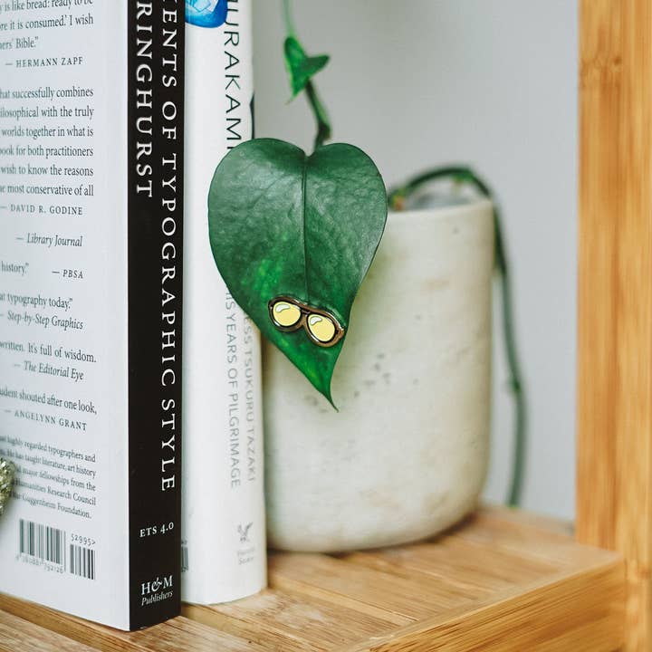 Eufolia - Wholesale Magnet - Sunnies 4-Pack - 🌱 Plant Magnet 🧲4