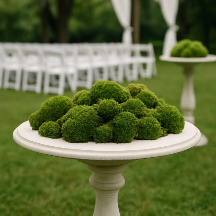 Mousse d'humeur préservée | 1 pi² | 2,5 pi² | 5 pi² pour la vente par Moss & Stone Gardens