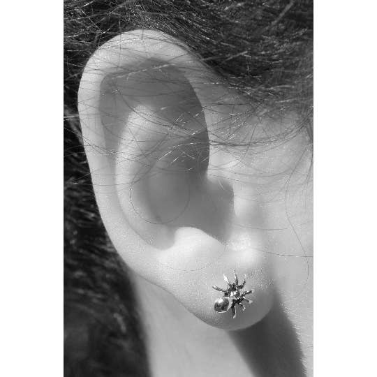 Semaki & Bird - Vente Clous d'oreille - Clous Fly & Spider - doré Natural History3