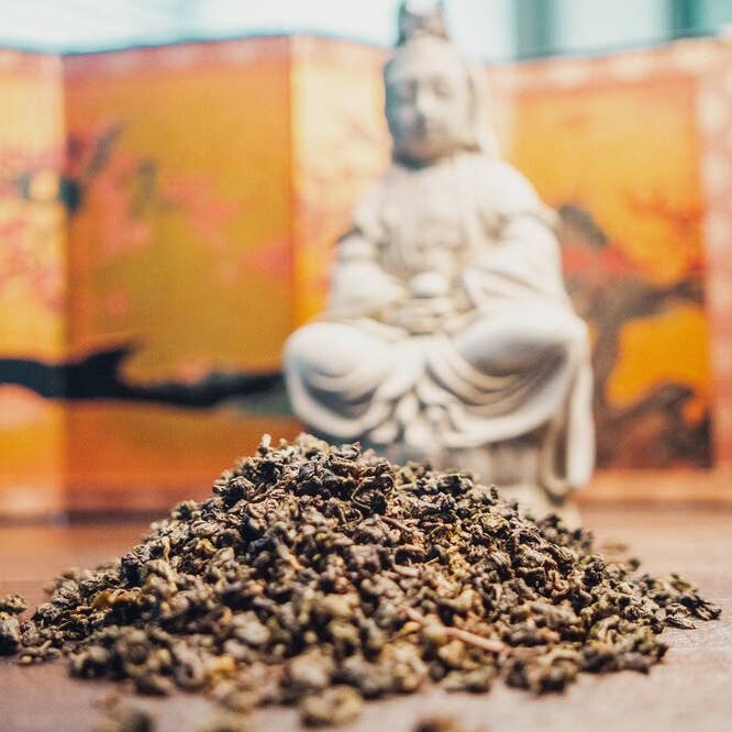 Organic Ti Kuan Yin for wholesale by Western Immortal