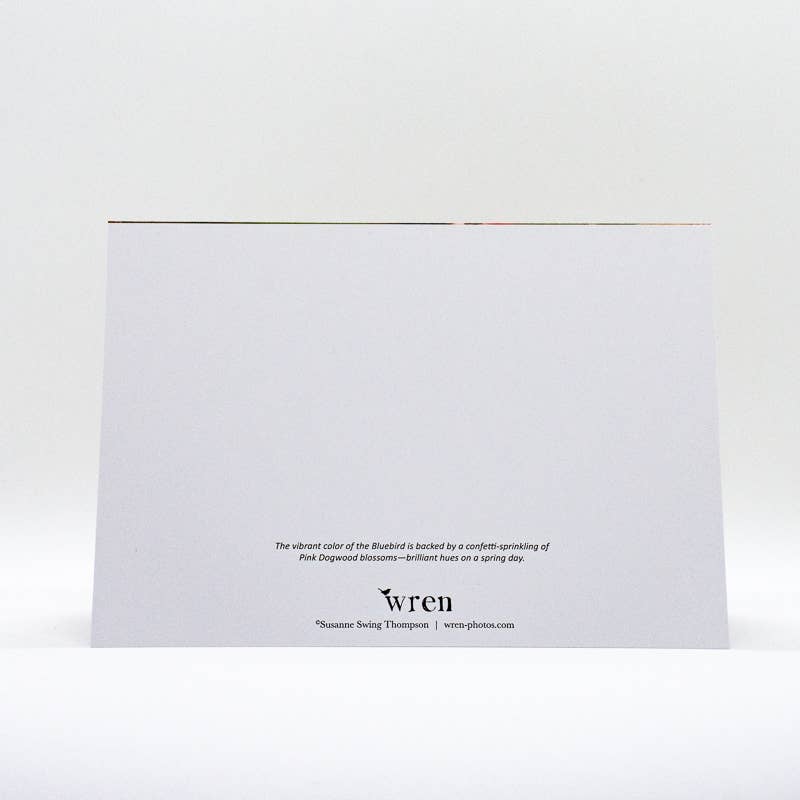 Wren - Wholesale Everyday Greeting Card - Bluebird and Dogwood Blossoms (Blank inside) Greeting Card2