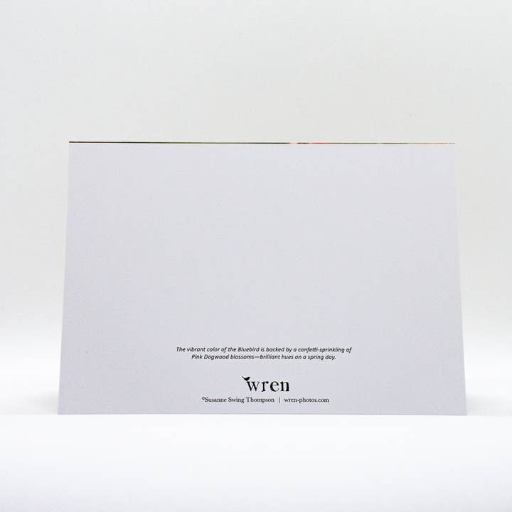Wren - Wholesale Everyday Greeting Card - Bluebird and Dogwood Blossoms (Blank inside) Greeting Card2