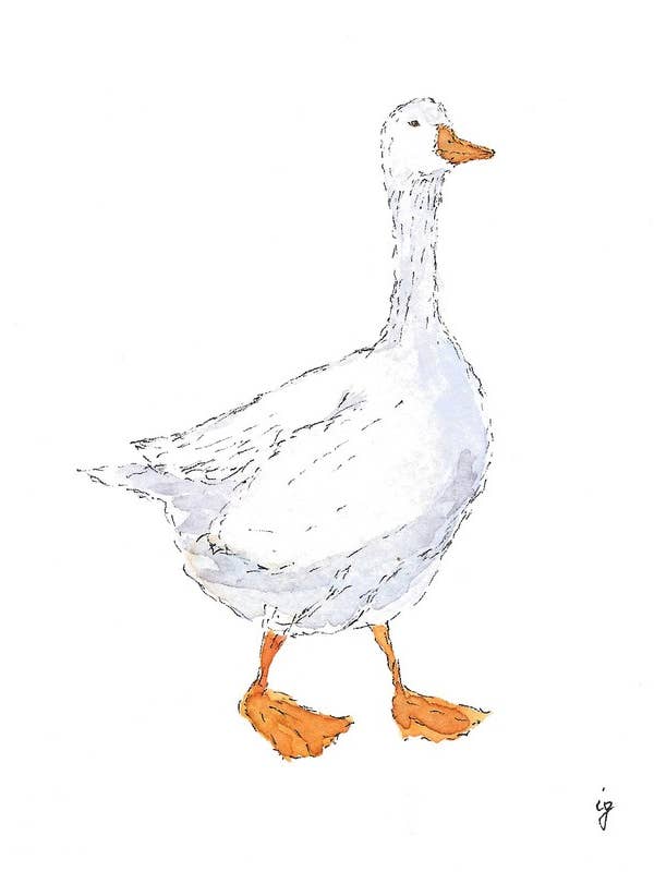 Ganso por atacado de SAS {Seattle Art Studio}