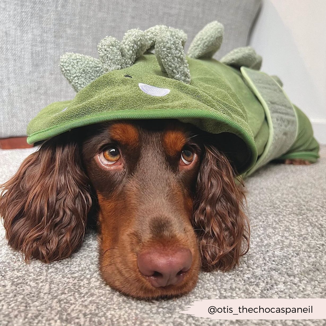 Cocopup London - Wholesale Pet Hoodie - Dog - Dinopup Drying Robe14
