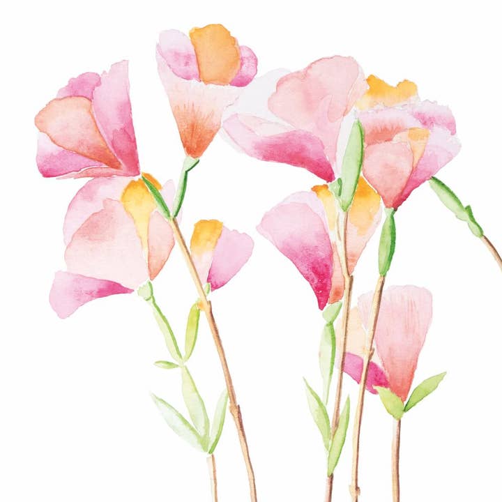 LUNCH-GODETIAS for wholesale by Paperproducts Design • Ambiente