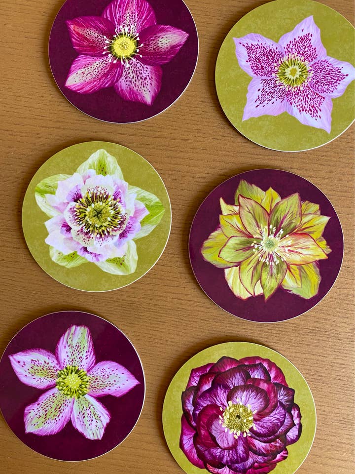 Round Hellebore Coasters / Gloss Melamine Coaster Cork Back for wholesale by Freya Snow