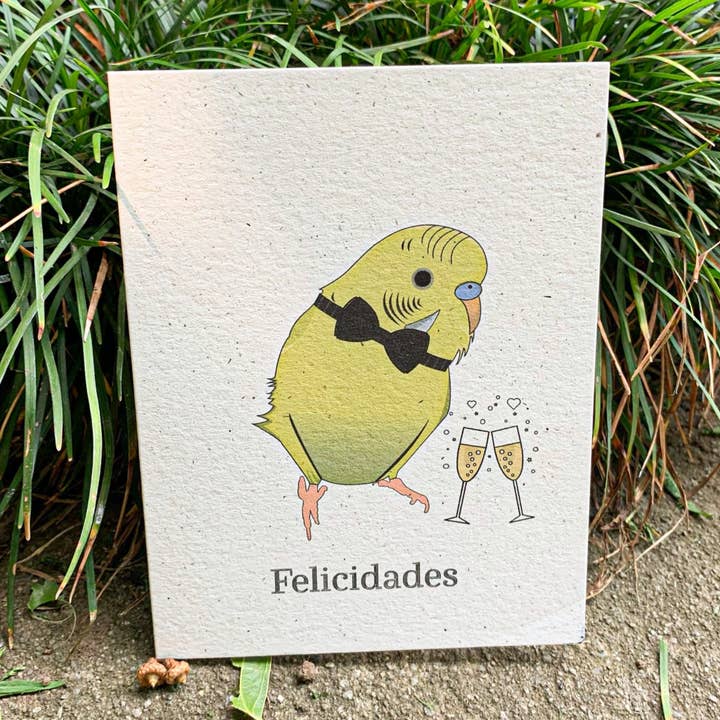 Felicidades - Yellow Green Parakeet for wholesale by Hakuna Matata Vibes