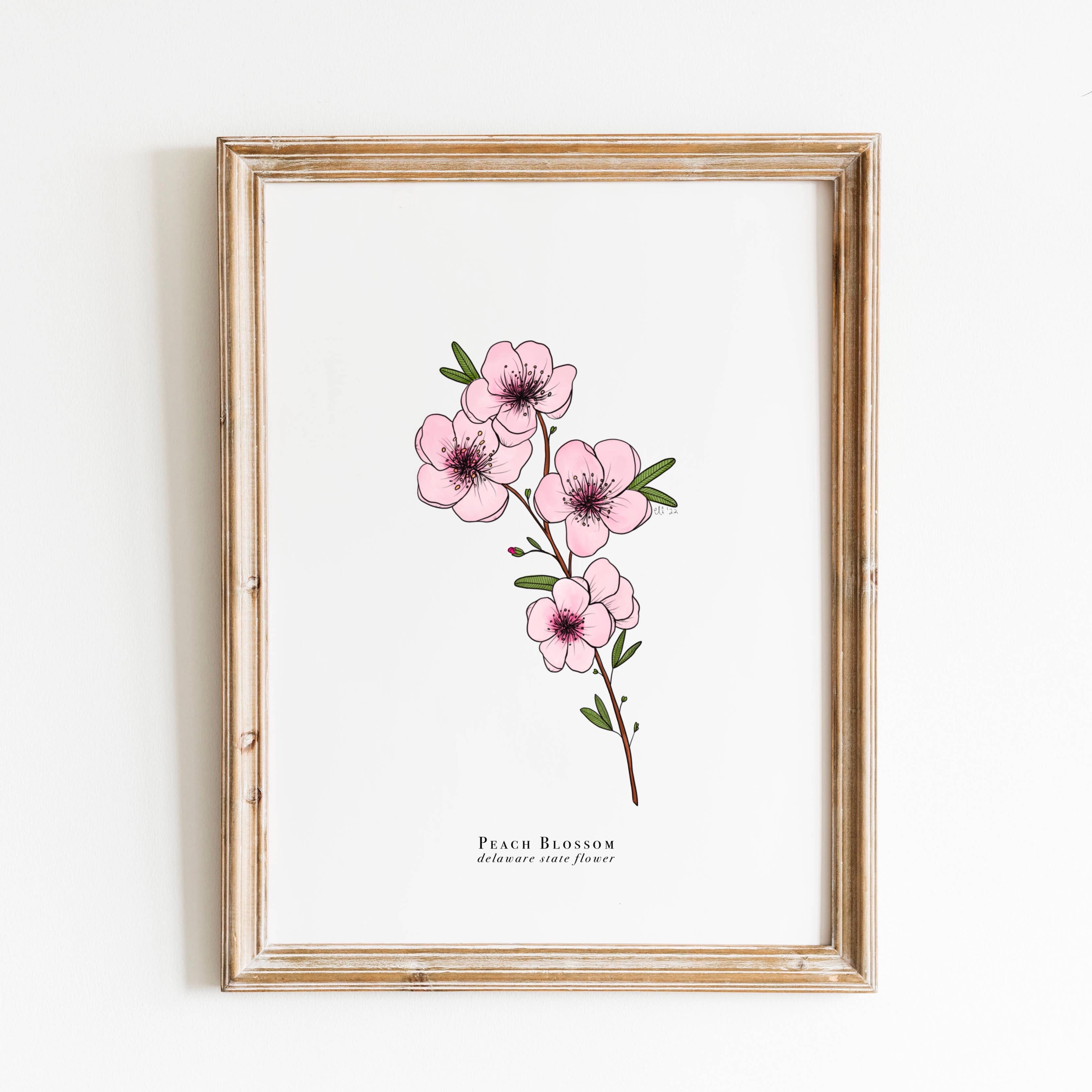 Delaware State Flower - Peach Blossom
