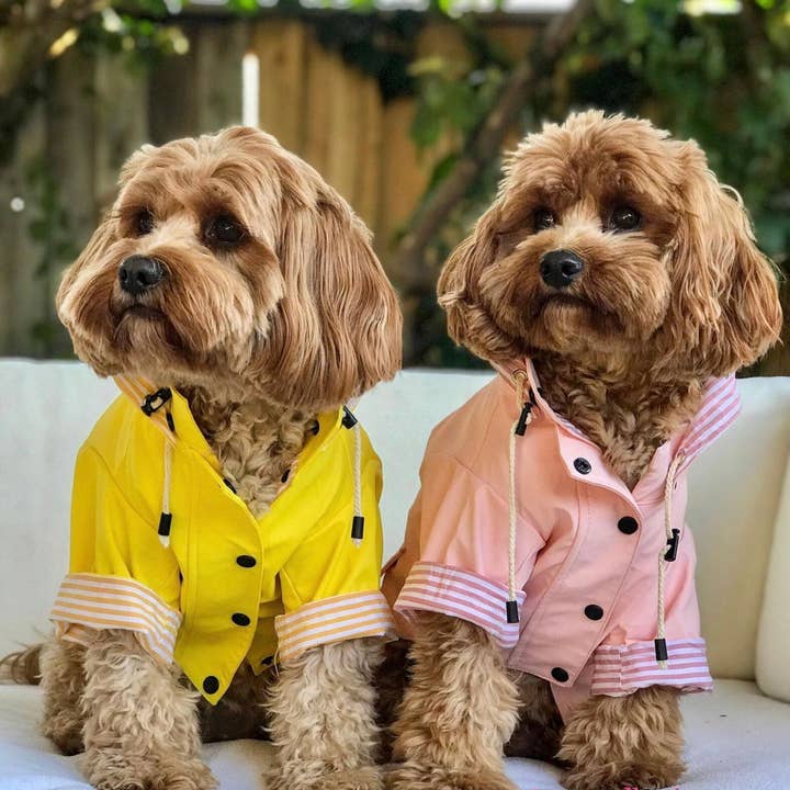 The Paw Co - Wholesale Pet raincoat – Dog - Sloane Waterproof Dog Rain Jacket Blush7