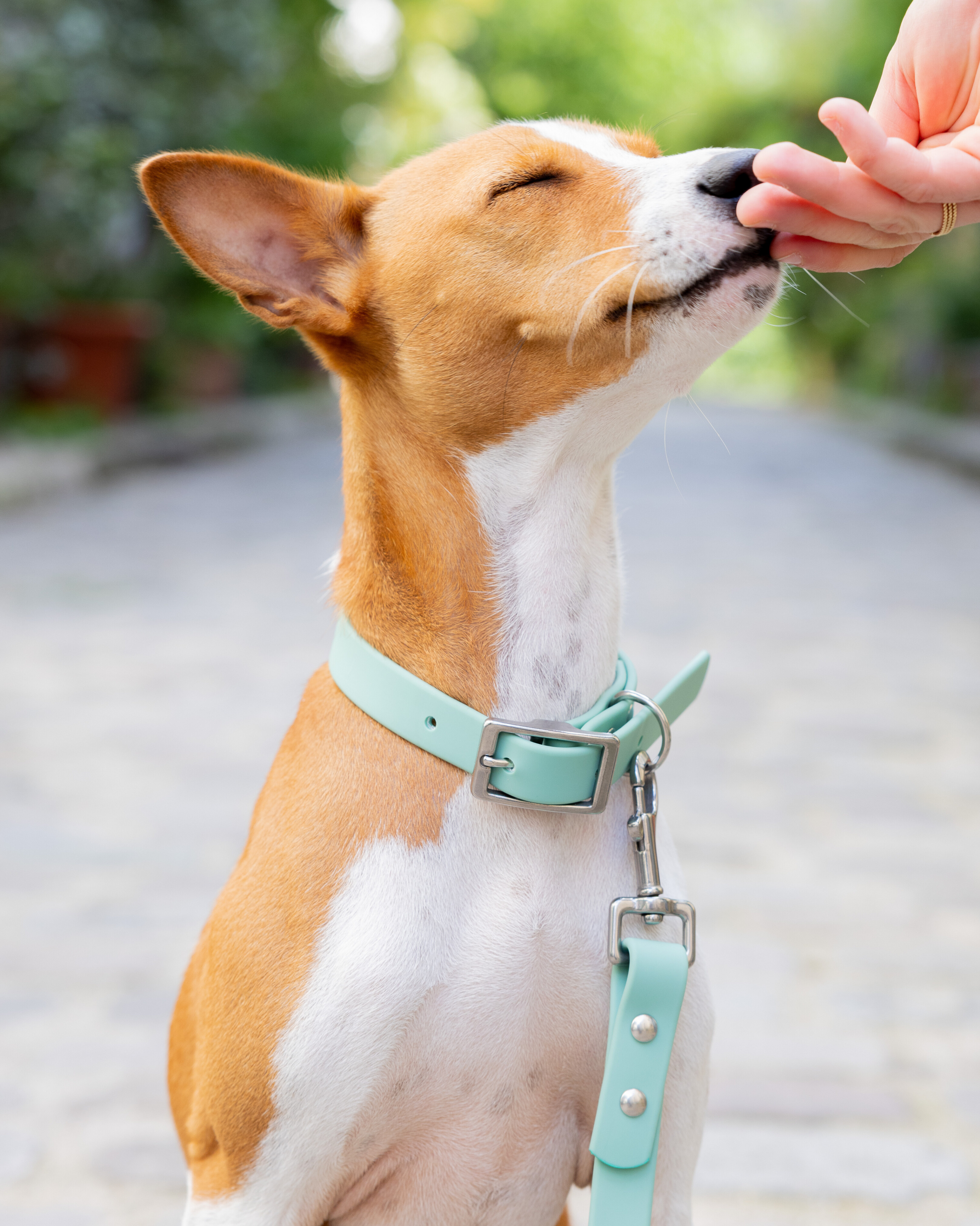 Ploouf Dogs - Wholesale Pet Leash - Dog - Lagoon green “soft touch” leash1
