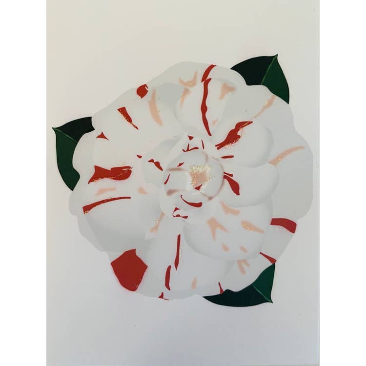 Studio Daedre - Wholesale Everyday Greeting Card - Striped Camellia - Loose Cards0
