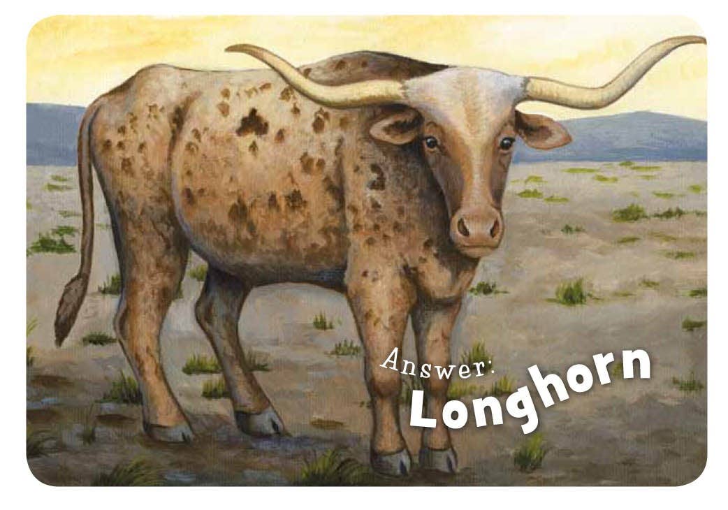 Sleeping Bear Press - Wholesale Baby & Toddler Book (0-2) - Little Texas Board Book6