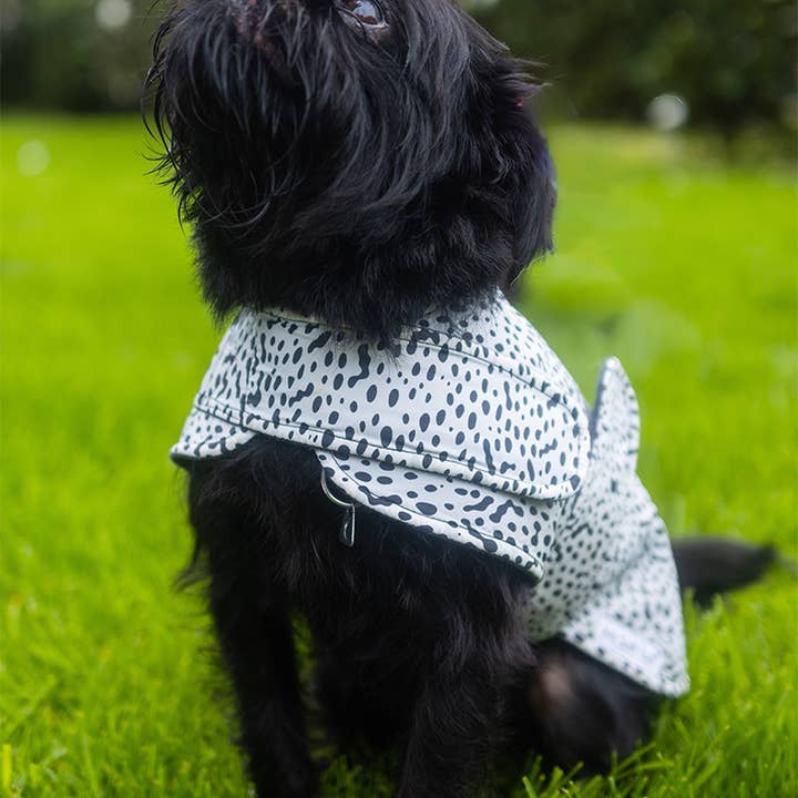 White 101 Dalmatians Raincoat for wholesale on Faire2