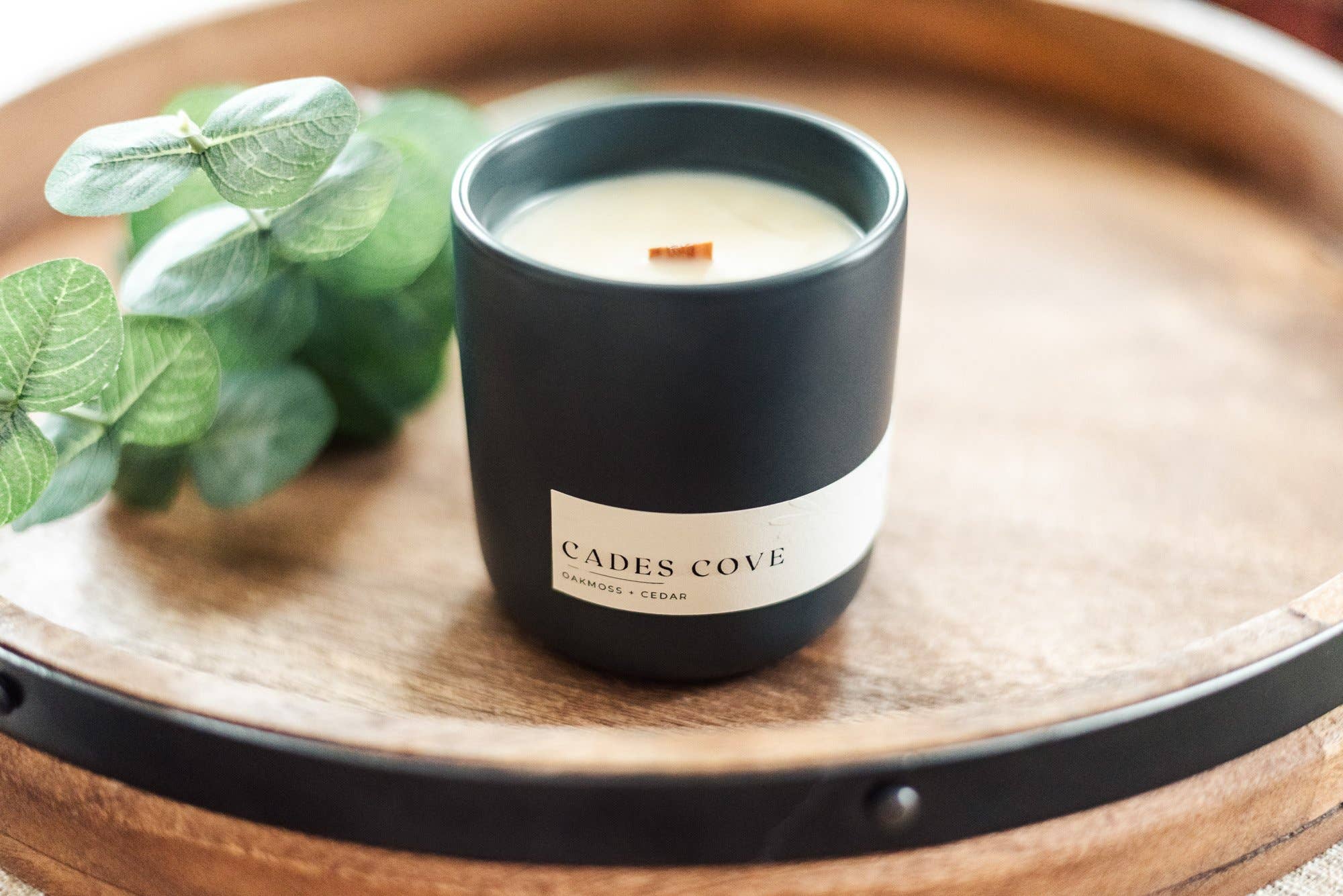Solana - Wholesale Jar/Filled Candle - Cades Cove Candle (Oakmoss & Cedar)1