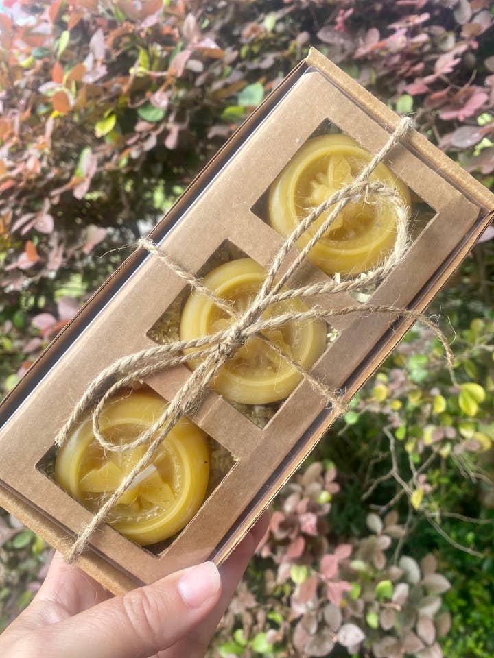 Velas de té de cera de abejas, candelita natural, vela flotante para venta al por mayor de Thy Will Bee Done Apiary