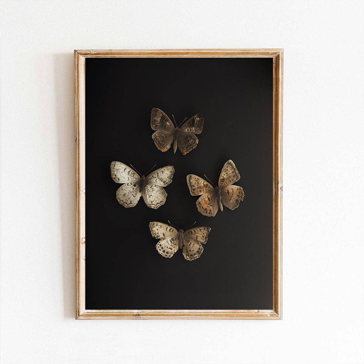 Paper House Print Shop - Wholesale Art Print - Vertical Four Butterflies on Black Victorian Antique Art Print0