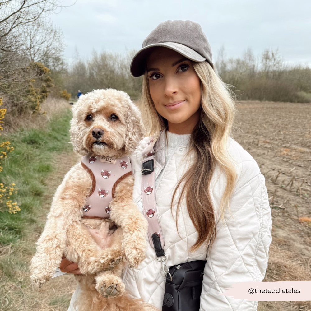 Cocopup London - Wholesale Pet Harness - Dog - Harold the Highland Cow Adjustable Neck HARNESS16