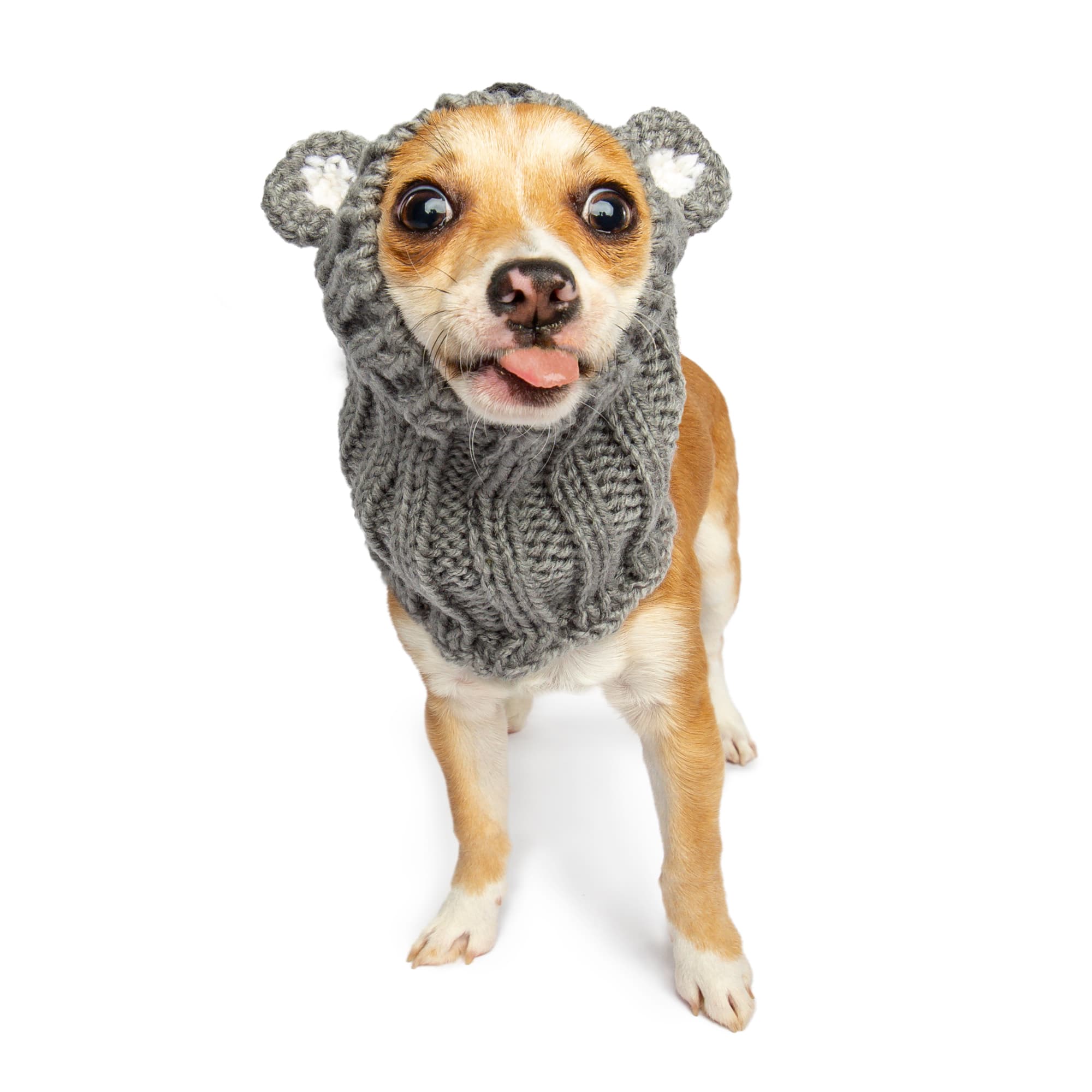 Zoo Snoods - Wholesale Pet Snood - Dog - Koala Dog Snood0