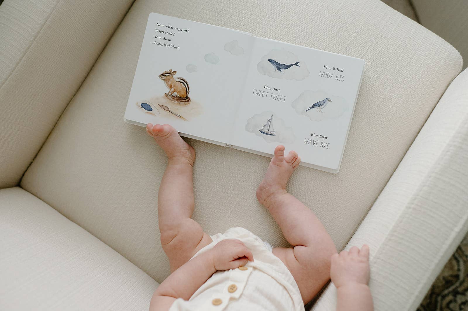 Paige Tate & Co. - Wholesale Baby & Toddler Book (0-2) - Wishy Washy: A Board Book of First Words and Colors6