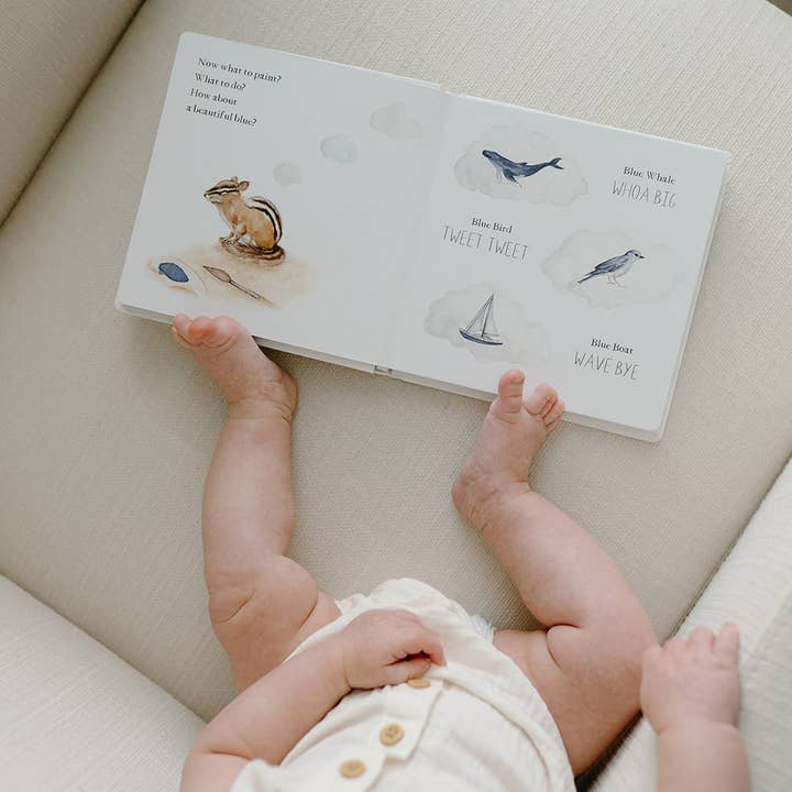 Paige Tate & Co. - Wholesale Baby & Toddler Book (0-2) - Wishy Washy: A Board Book of First Words and Colors6