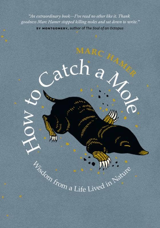 Microcosm Publishing & Distribution - Wholesale Nature & Outdoors - How to Catch a Mole: Wisdom from a Life Lived in Nature0