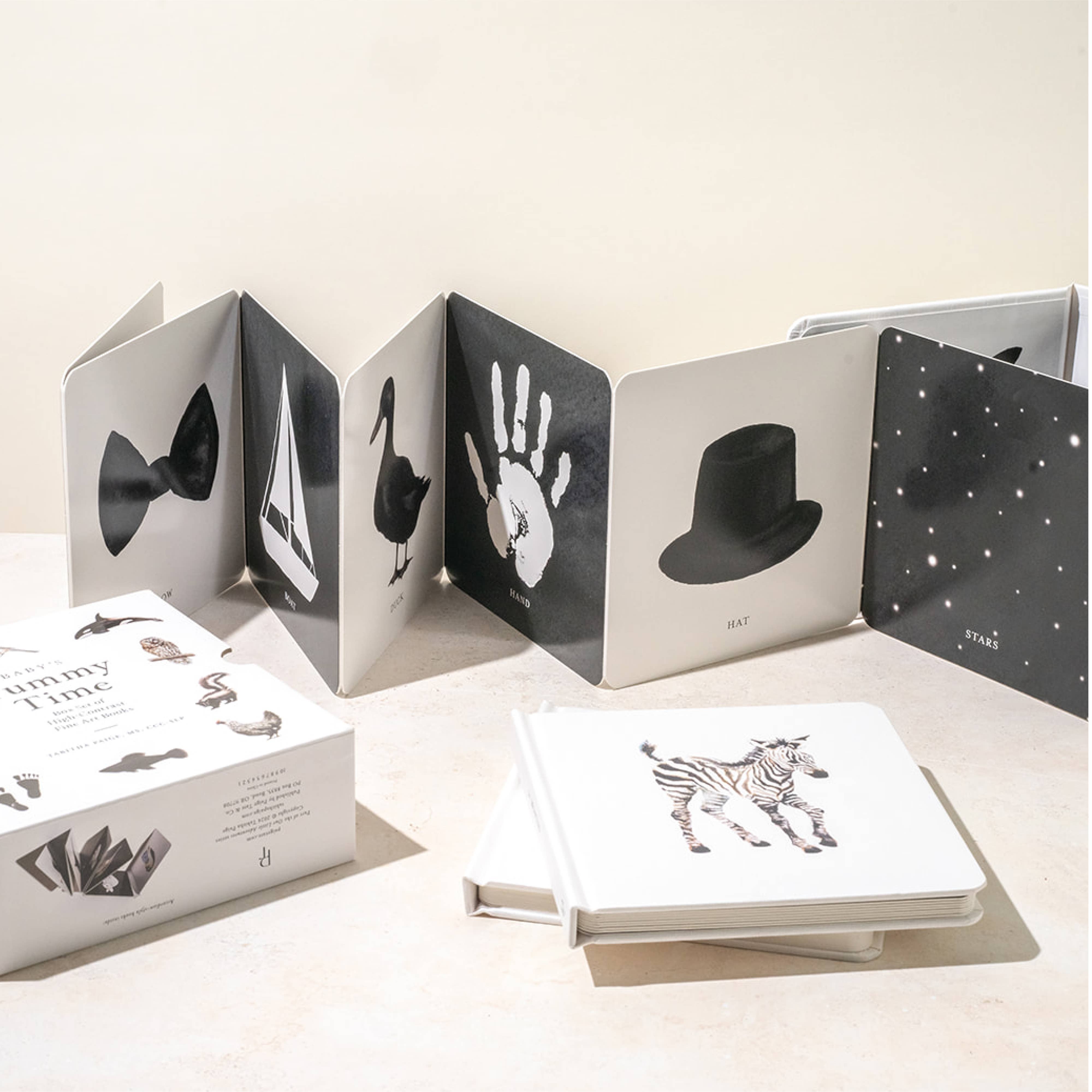 Penguin Random House LLC - Wholesale Baby & Toddler Book (0-2) - Baby's Tummy Time Book Box Set1