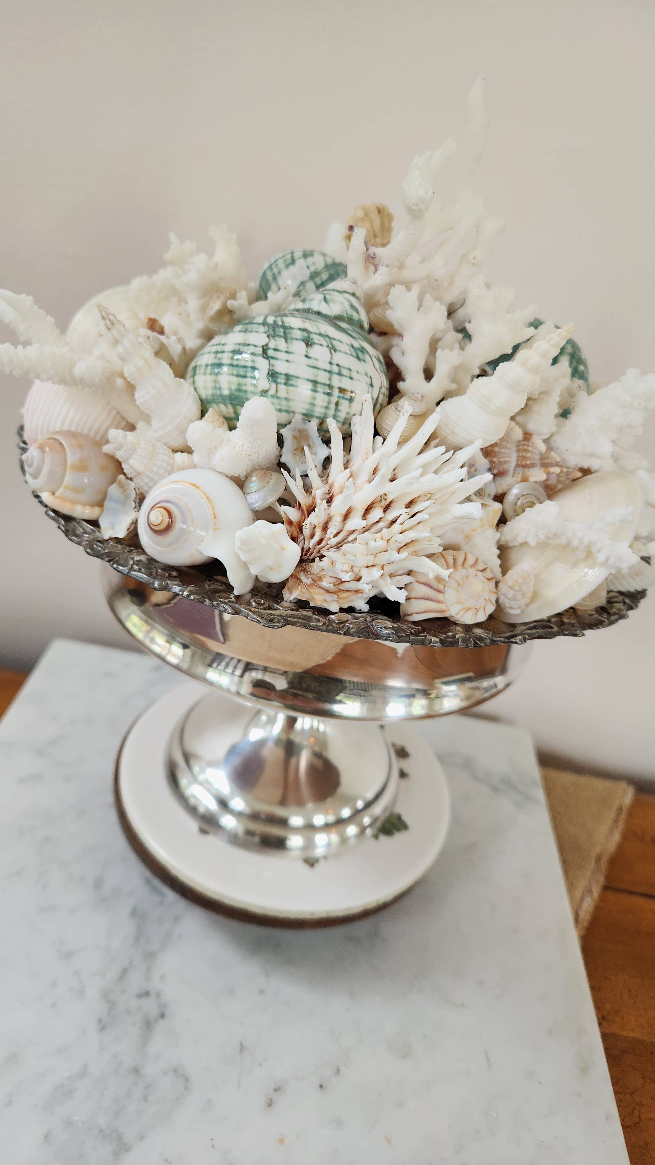 White Tulip Boutique - Wholesale Decorative Tabletop Object - Large Seashell n Coral Centerpiece, Table Top Decor, Topiary6