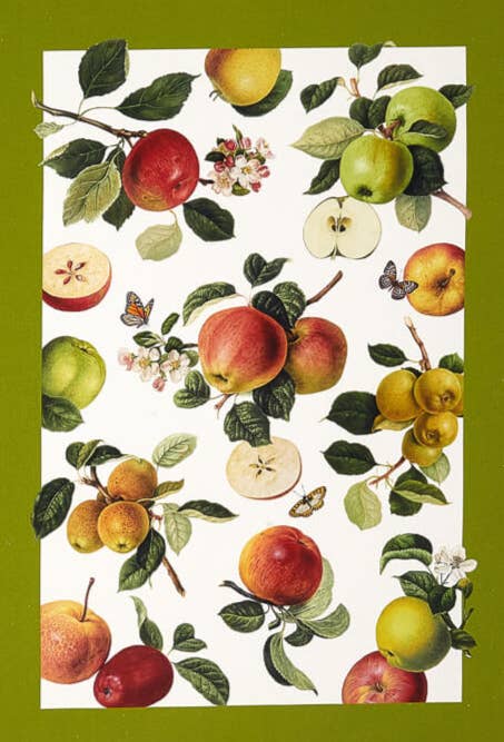 Olive Loom - Wholesale Tea Towel - Designer Kitchen Towels3