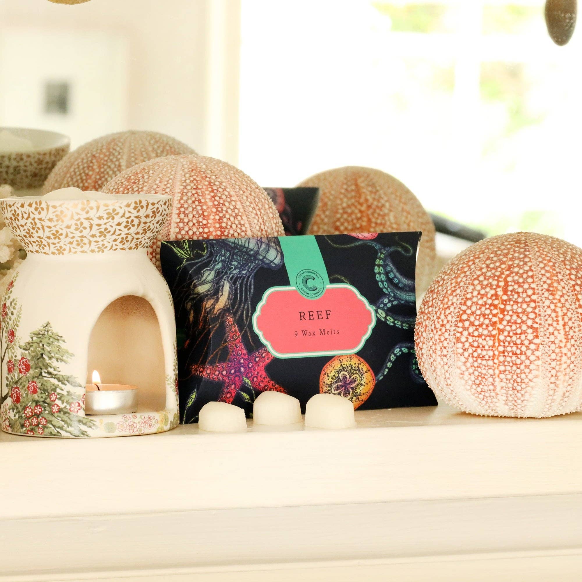 Cream Cornwall - Vente Fondants - Boîte de neuf produits Reef Wax Melts1