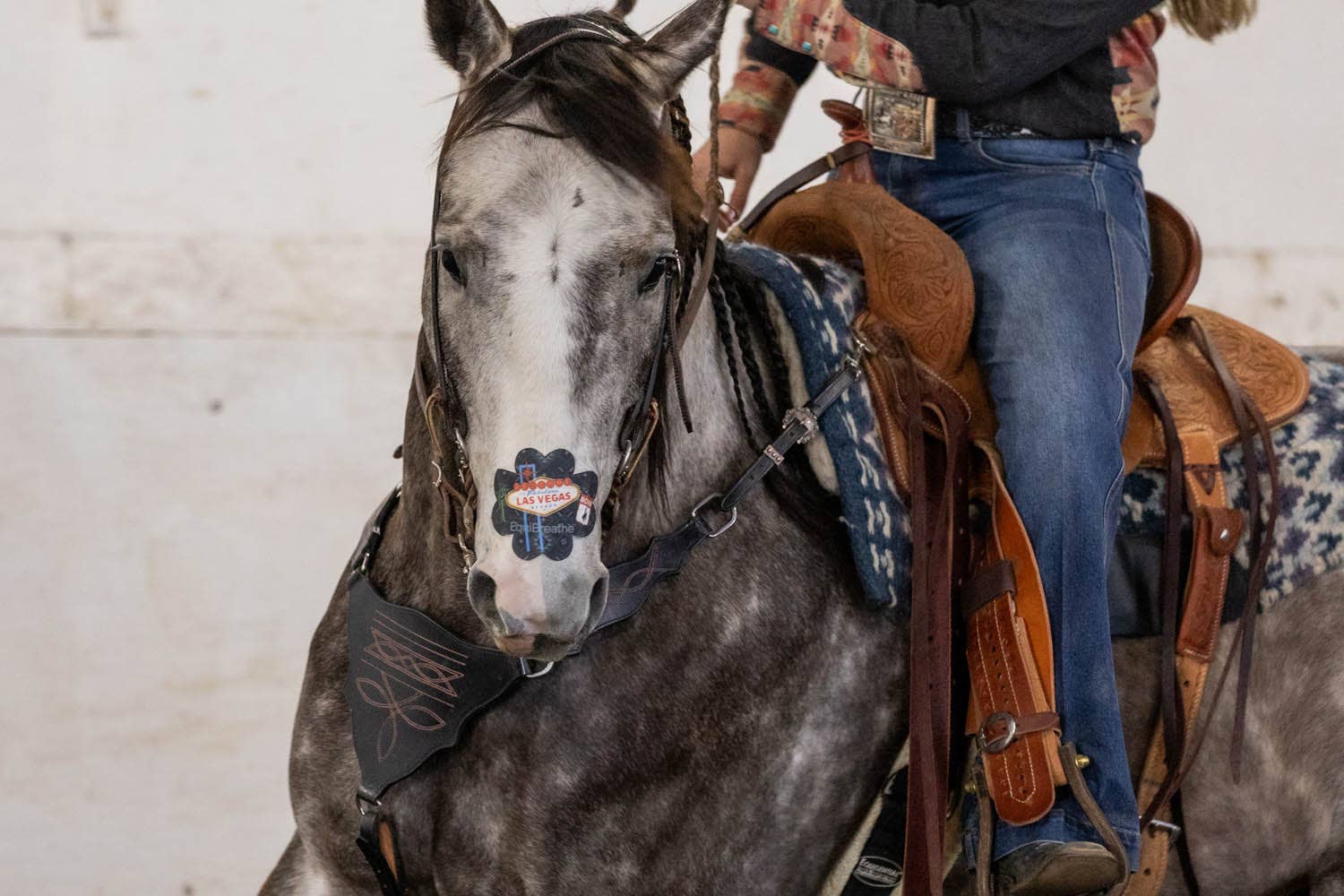 EquiBreathe™ – Equipamento de equitação por atacado – EquiBreathe™ Adesivo Nasal Equino - Vegas3