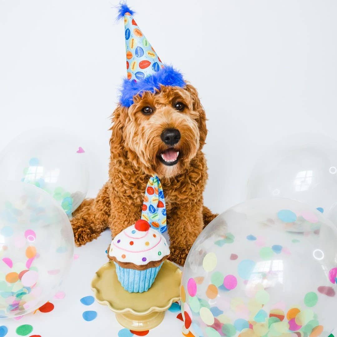 Huxley & Kent – Engroshandel Hundehat - Hund – Festtid Blå Festhat med SnugFit®3