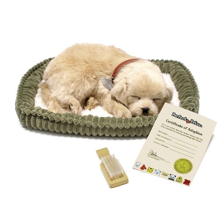 Kelli's - Wholesale Pet Plush Toy - Dog - Perfect Petzzz - Golden Retriever1