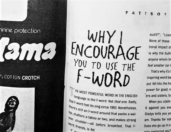 Microcosm Publishing & Distribution - Wholesale Body, Mind & Spirit Book - Fat is Beautiful (Zine)2