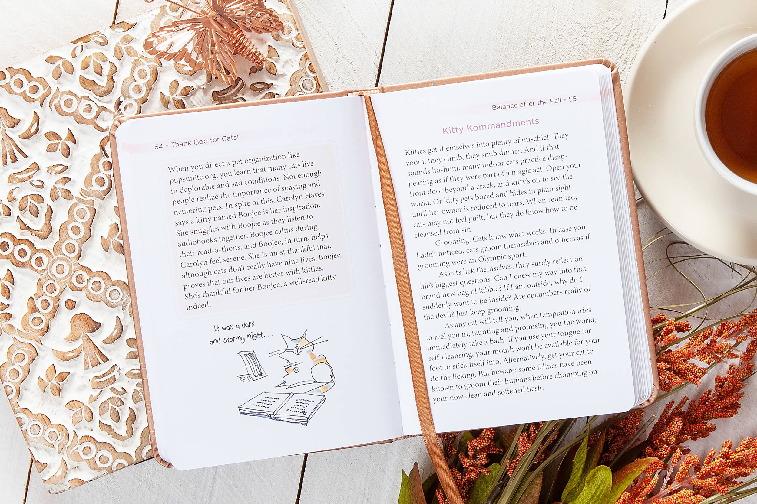 BroadStreet Publishing Group, LLC - Wholesale Boek over huisdieren - Dank God voor katten! (Devotioneel, Valentijnsdagcadeaus)1