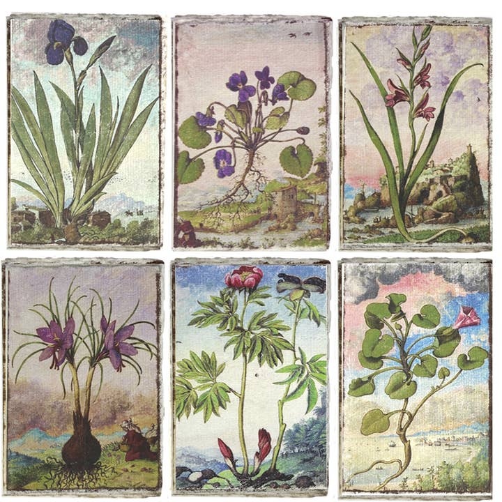 World Buyers - Wholesale Journal/Diary - Vintage Watercolor Florals Mini Journal - ASE158