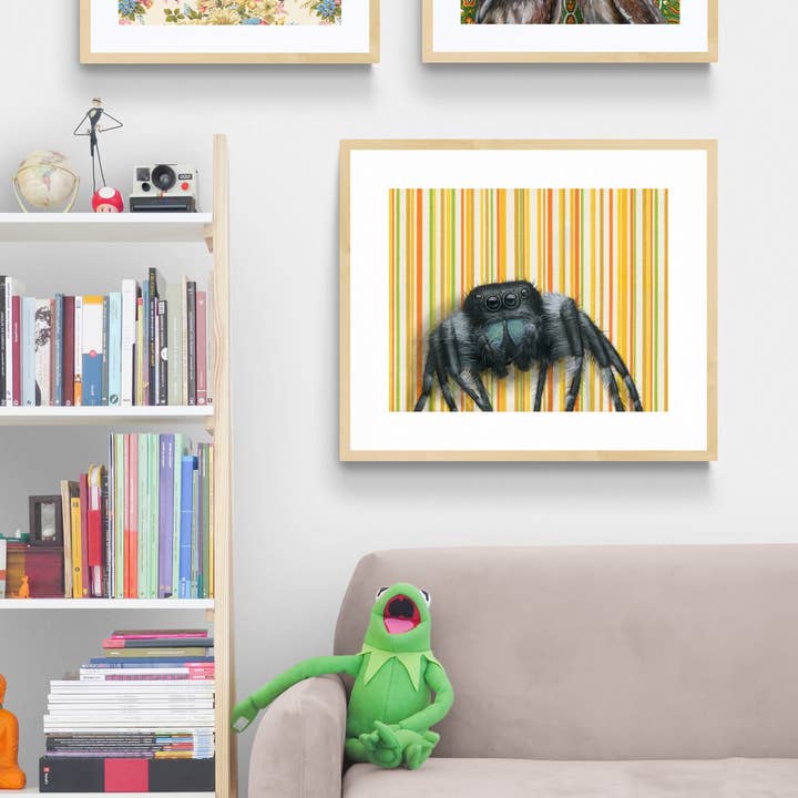 Emily Uchytil - Wholesale Art Print - Jumping Spider - Fine Art Print - Insect Illustration6